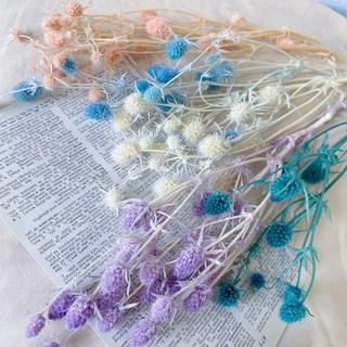 不凋小紫薊 不凋小刺芹 擴香石美化材料 盆花材料 永生花花盅素材 新秘頭飾素材 花圈花材, 9隨機混搭2色發貨, 1個