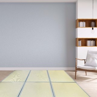 厚藤蓆組合式榻榻米3入組 地墊/涼蓆 台灣製造 四季可用 工廠直營, 一組(3入)