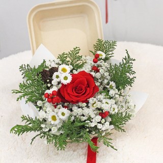 마이플랜트 생화 크리스마스 도시락 플라워, 1개, 단일