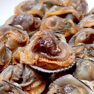 국내산 당일채취 벌교 새꼬막, 1개, 3kg(180-210내외)