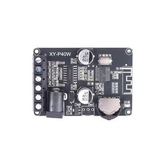 30W/40W 스테레오 블루투스 5.0 전력 보드 12V/24V 고출력 디지털 모듈 스피커