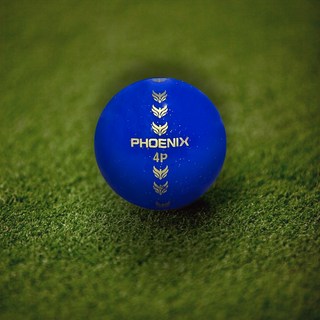 피닉스 파크골프 공 _국산 4중구조 골프공 파크골프공 피닉스파크골프, 1개, 1개입, 블루