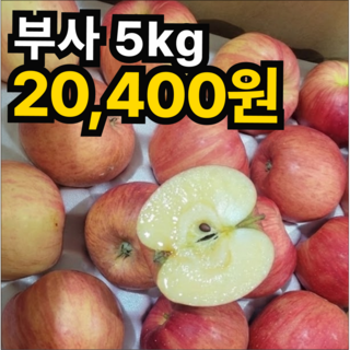 [전국최저특가] 100박스한정 후회없는 꿀맛 못난이사과, 1박스, 5kg