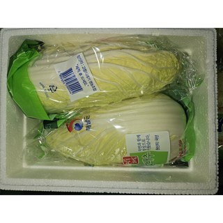 해남 알배추 통당 400g 이상 2통/4통/6통, 4개