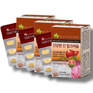 밀크씨슬효능 지방 실리마린 간 영양제 피곤할때 간에좋은 약3개월