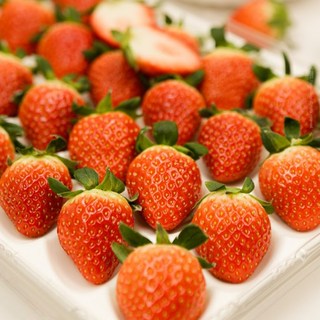 [마사팜] 당도와 식감이 금실딸기 설향딸기 산지직송 특대과 한정특가, 1박스, 금실딸기 1kg (특품)