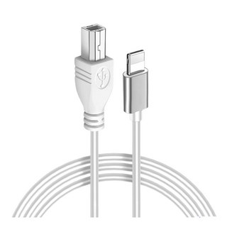 台灣Jazzy OTG傳輸線 Type-B to Lightning 連接電子鼓 電子琴 電鋼琴 24H出貨, 1個