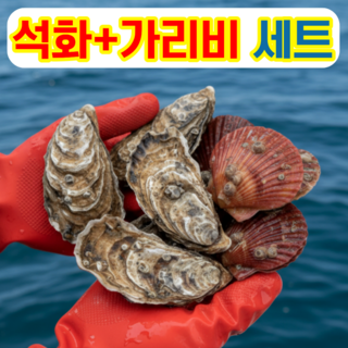 [고압세척 선별] 통영 석화 가리비 세트 당일조업, 1세트, 홍가리비 3kg + 석화 2kg