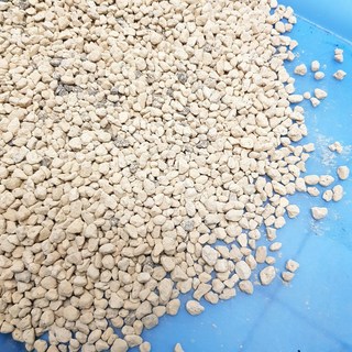 P老闆園藝 土耳其白火山石(白火山岩 500克/1000克) 多肉介質 多肉土 多肉鋪面 輕石 浮石 仙人掌介質, 1個, 1000克/1公斤