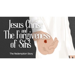 擁抱的力量：寫給迷途中的我們，透過植物療癒找回內在平靜與方向, 油