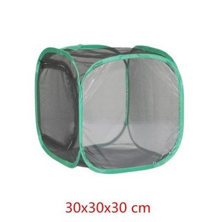 접이식 곤충 그물 천 메쉬 케이지 나비 사마귀 잠자리 사육 먹이 통기성 서식지 1 개, 02 30x30x30 green, 1개