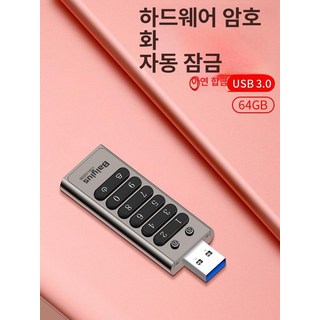 비밀번호 USB 암호 보안 메모리 도난 방지 키 보호, 공식 표준형, 1TB, 1개