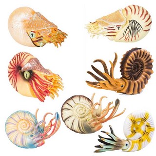 고대생물 모형 해양동물 앵무조개 시뮬레이션 수중 A타입 피규어 암모나이트, 3. C타입, 1개