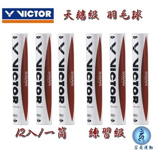 VICTOR 勝利 SWAN 天鵝級 練習羽球 12入/筒, 1個, 勝利 天鵝級