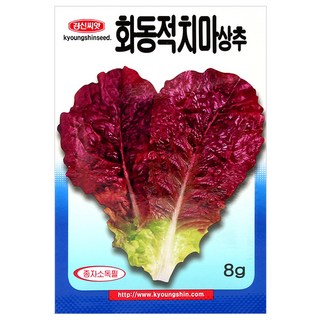 세인화분 화동 적치마 상추 8g - 상추씨 채소 씨 씨앗, 1개