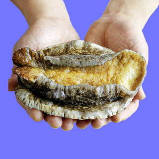 복다미 전복선물세트 특대 완도전복직거래, 11호, 1세트, 2kg