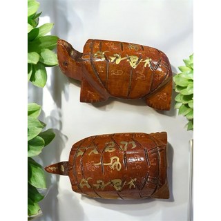 龍婆本 清債龜 富貴龜 泰國 龍波本 加持 招財 守財