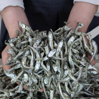 [100% 국내산] 청정해역에서 잡은 안주/조림/볶음용 해날 최상급 햇 고바 중멸치 1.5kg, 1개