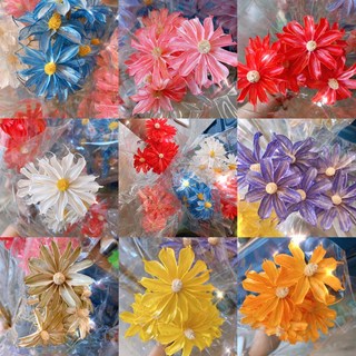 小雛菊永生花 小濱菊 寶石蘭木片花 畢業花束材料 乾燥花插花DIY材料, 白色,1支