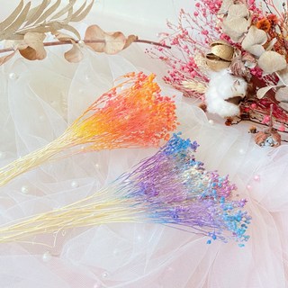 萬花。瞳 乾燥花 義大利進口金雀木滿天星 夏季新色 乾燥花束/婚禮佈置/手作素材/攝影道具/新娘捧花, 零售仲夏夜之夢5-6g