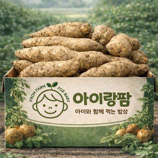 [산지직송] 아이랑팜 국내산 참마 산마 생마, 1개, 3kg 알뜰(실속형,대표옵션)