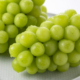 [한정특가] 김천 샤인머스켓 꿀 과즙 초고당도 샤인머스켓2KG 특품[3~5수], 1개, 2kg