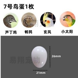 台灣現貨 假蛋 實心假蛋 滿足孵蛋慾望 培養鳥性 培養認真 咬不破 咬蛋鳥 鴿子假蛋 鸚鵡用品 鸚鵡蛋 折衷蛋 鳥蛋 蛋, 1個, 7號 蘆丁雞 鵪鶉 玄鳳 小太陽