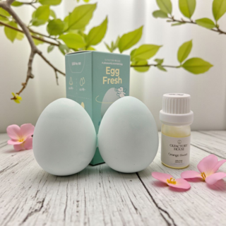 [유기농 에센셜 오일 증정] 에그프레쉬 냄새먹는 계란 냉장고 탈취제 습기제거제, 100g, 2개