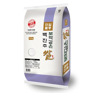 대한농산 보약같은 경기미 백진주쌀, 상, 10kg, 1개