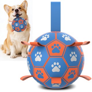 Qdan 강아지장난감 강아지공 개 축구공 끈 달린 펌프 포함, 1개, 주황색