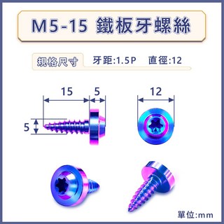 正鈦螺絲 鐵板牙螺絲 自攻螺絲 M4 M5, 1個, M5-15
