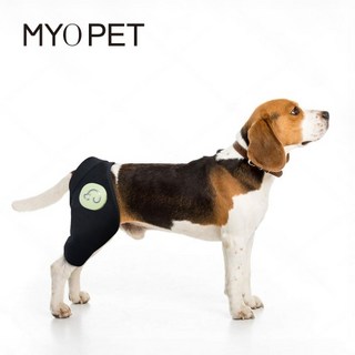마요펫 중저주파 EMS 강아지 슬개골 탈구 보호대 치료 근육운동기기, 1개, 그린, 마요펫 왼쪽