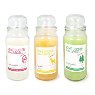 프롬태오 캔들 심지2P 냄새잡는향초, 피톤치드 악취제거