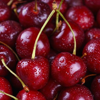 프리미엄 칠레산 생체리 고당도 항공직송, 1박스, 500g (대 10R)