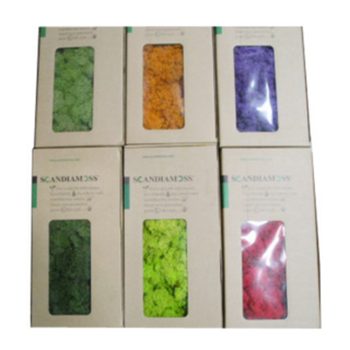 스칸디아모스, 80g~100g, 1개, 어텀