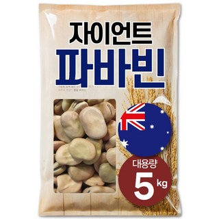 The큰나무 호주산 자이언트 파바빈 혈당관리 당뇨콩, 5kg, 1개