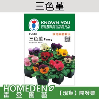 三色堇 F-640 花卉種子 約50粒/包 - 輕鬆種植，美化您的花園與生活空間, 1個, 1包(約50粒)