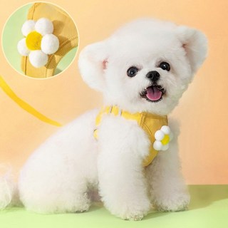 메이세컨드 플라워 하네스 리드줄 세트, 1개, 옐로우