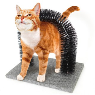 고양이 그루밍아치 셀프그루밍 셀프브러쉬 고양이털관리, 1개, 블랙