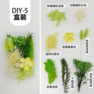 雨林薰舍 永生花DIY材料包, DIY-5(盒裝)