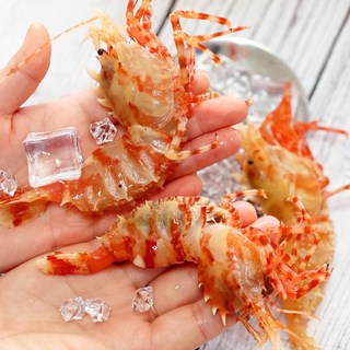 활 생물 급냉 독도새우 급냉 독도 꽃새우+닭새우 (믹스), 05.연안 꽃새우 1kg, 1개, 1kg