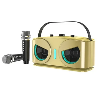 올즈 20W 노래방 기계 성인 및 어린이용 무선 마이크 2개가 포함된 휴대용 블루투스 스피커 RGB 조명, 03 Gold