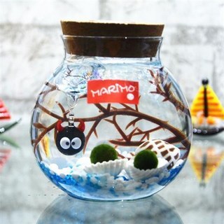 海藻球水培植物微景觀生態瓶苔蘚盆栽玻璃瓶 (包郵), 小惡魔帶燈（藍白2歲2顆）, 1個