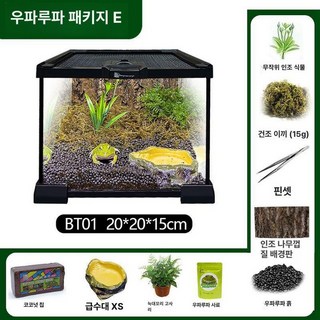 장수풍뎅이집 비바리움 곤충보관함 달팽이 사육통 파충류, 1개