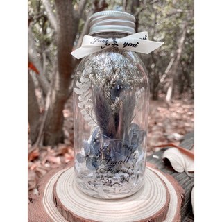 乾燥花畢業花束牛奶瓶花束 情人節生日禮物 畢業伴娘禮 捧花婚禮小物閨蜜送禮, H款(無禮盒、無燈串)