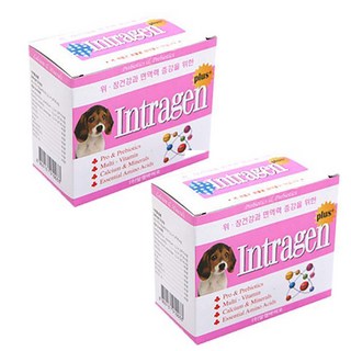 인트라젠 플러스 반려동물 영양제, 60g, 장건강/유산균, 2개