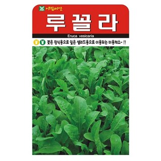 루꼴라 종자 씨 씨앗 텃밭 샐러드, 2개