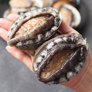 17년 전통 순천만수산 프리미엄 전복 9-10미 1kg 정직한 중량 산소팩포장, 1개