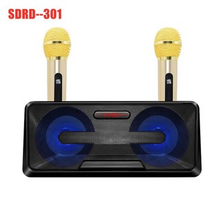 가라오케 무선 Bluetooth 스피커 3D 스테레오 서라운드 저음 듀얼 마이크 음악 시스템 TV/컴퓨터 센터 ​듀얼 독립 자유 원클릭 무음 사운드 TV 연결 가능 대상: 가정 컴, SDRD-301 Black, 6.SDRD-301 Black