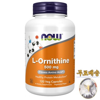 미국산 나우푸드 엘 오르니틴 500mg 120베지캡슐 아미노산 NOW Foods L Ornithine 선물증정, 120정, 1개